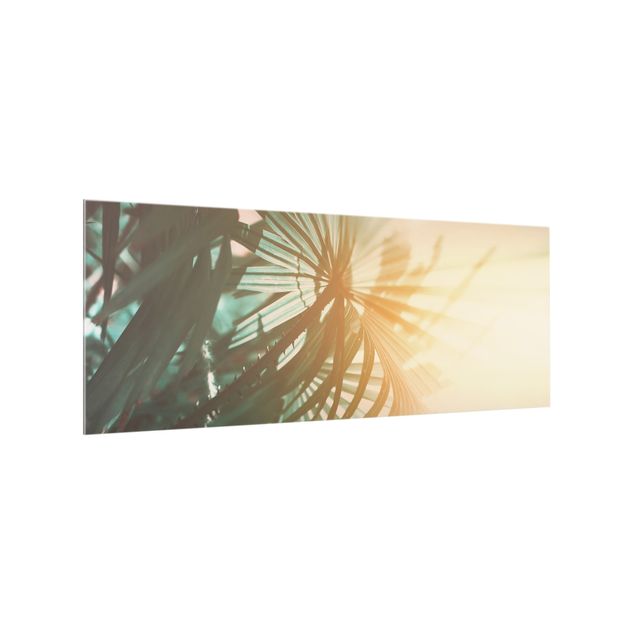 Spritzschutz Glas - Tropische Pflanzen Palmen bei Sonnenuntergang - Panorama - 5:2