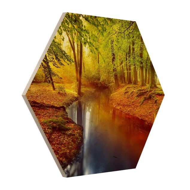 Hexagon Bild Holz - Herbstwald