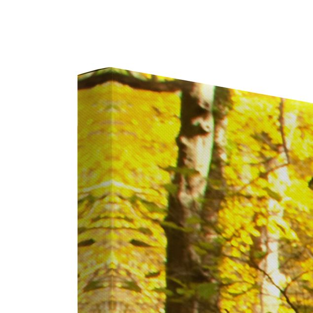 Leinwandbild 3-teilig - Wasserfall herbstlicher Wald - Collage 1