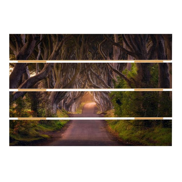 Holzbild - Tunnel aus Bäumen - Querformat 2:3