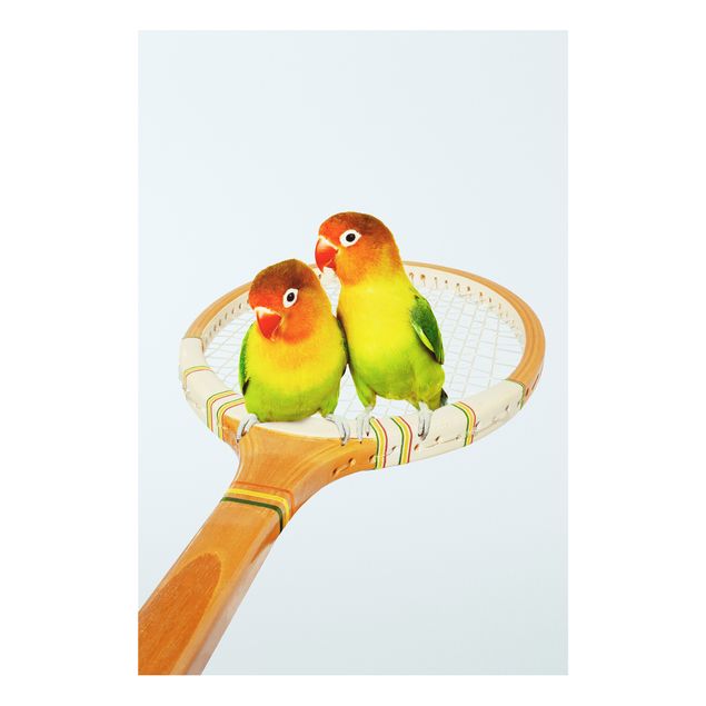 Forex Fine Art Print - Jonas Loose - Tennis mit Vögeln - Hochformat 3:2