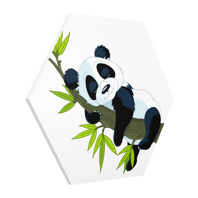 Hexagon Bild Forex - Schlafender Panda