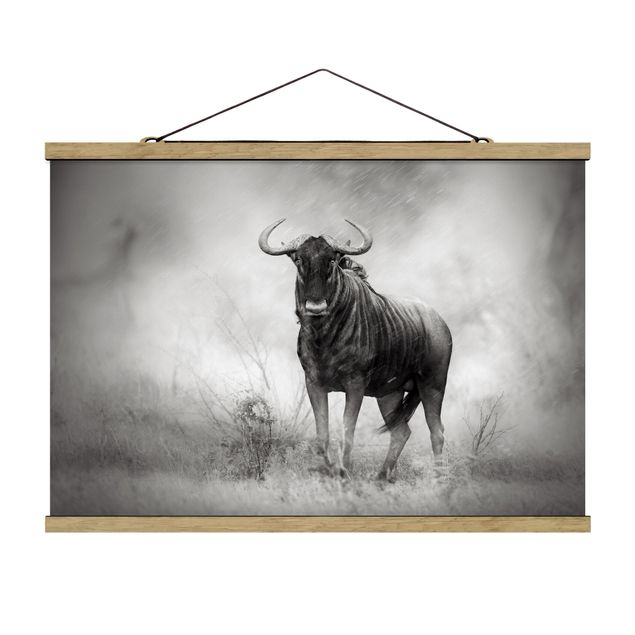 Stoffbild mit Posterleisten - Staring Wildebeest - Querformat 3:2