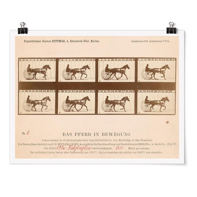 Poster - Eadweard Muybridge - Das Pferd in Bewegung - Querformat 3:4
