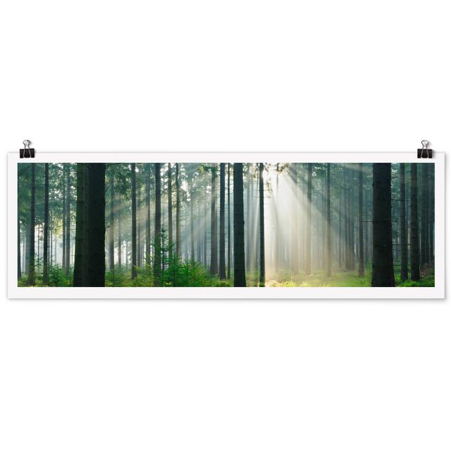 Poster - Enlightened Forest - Panorama Querformat