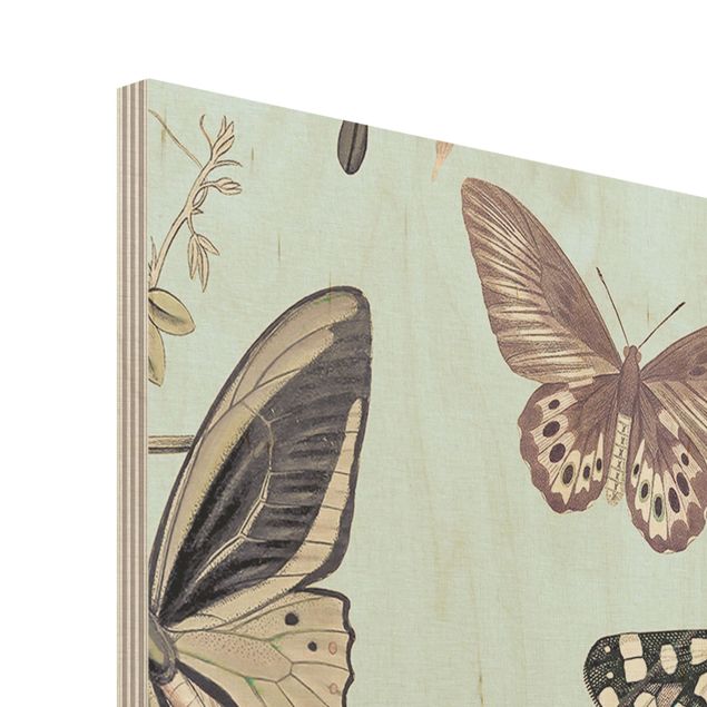 Holzbild - Vintage Collage - Schmetterlinge und Libellen - Quadrat 1:1