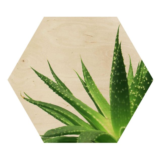 Hexagon Bild Holz - Aloe Vera