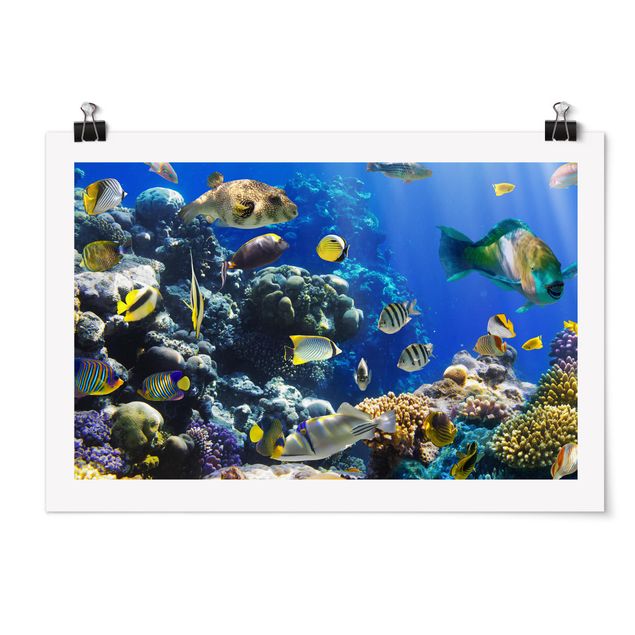Poster - Underwater Reef - Querformat 2:3