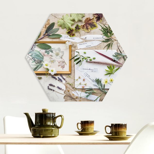 Hexagon Bild Forex - Blumen und Gartenkräuter Vintage