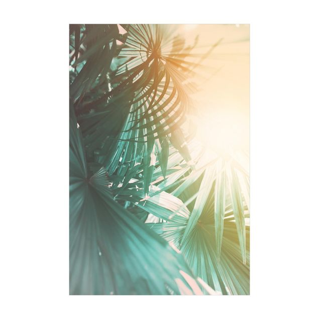 Teppich Natur Tropische Pflanzen Palmen bei Sonnenuntergang