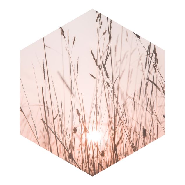 Hexagon Mustertapete selbstklebend - Ein traumhafter Sommerabend