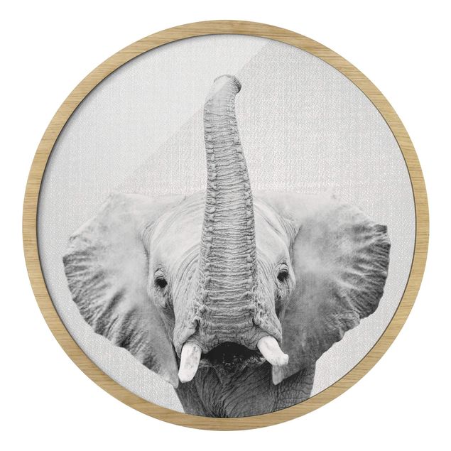 Rundes Gerahmtes Bild - Elefant Ewald Schwarz Weiß