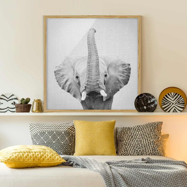 Bild mit Rahmen - Elefant Ewald Schwarz Weiß - Quadrat - 1:1
