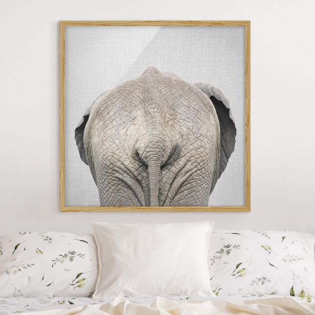 Bild mit Rahmen - Elefant von hinten - Quadrat - 1:1