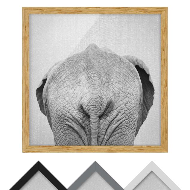 Bild mit Rahmen - Elefant von hinten Schwarz Weiß - Quadrat - 1:1