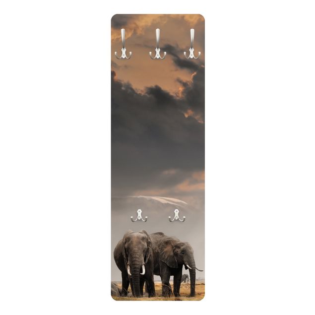Garderobe - Elefanten der Savanne - Braun