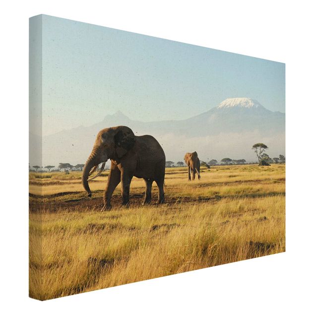 Leinwandbild Natur - Elefanten vor dem Kilimanjaro in Kenya - Querformat 4:3