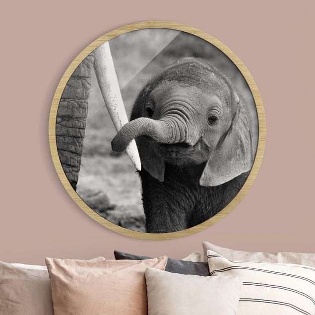 Rundes Gerahmtes Bild - Elefantenbaby