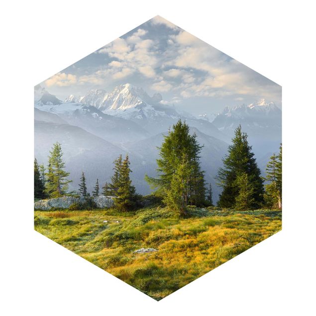 Hexagon Mustertapete selbstklebend - Émosson Wallis Schweiz