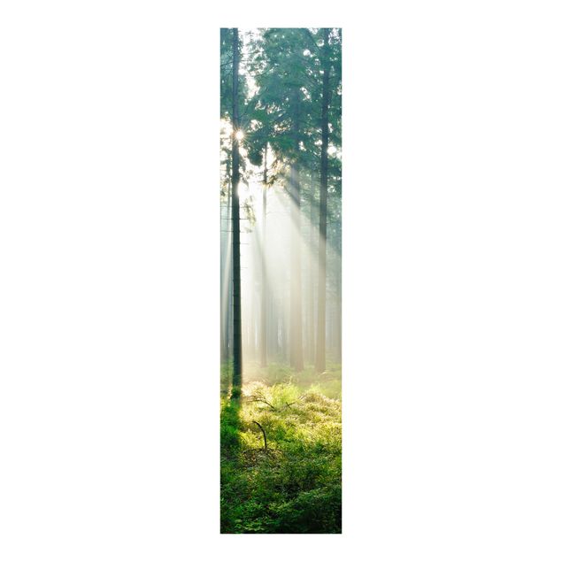 Schiebegardinen Set - Enlightened Forest - Flächenvorhänge
