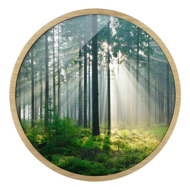 Rundes Gerahmtes Bild - Enlightened Forest