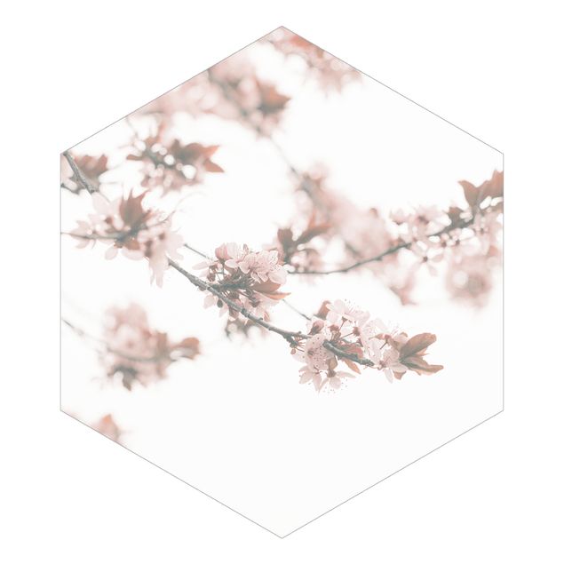 Hexagon Mustertapete selbstklebend - Erinnerungen an den Frühling