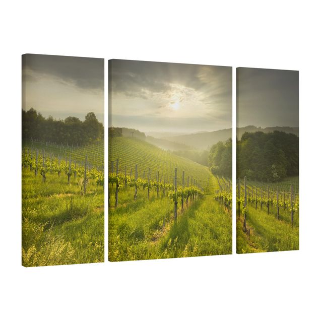 Leinwandbild 3-teilig - Sonnenstrahlen Weinberg - Triptychon
