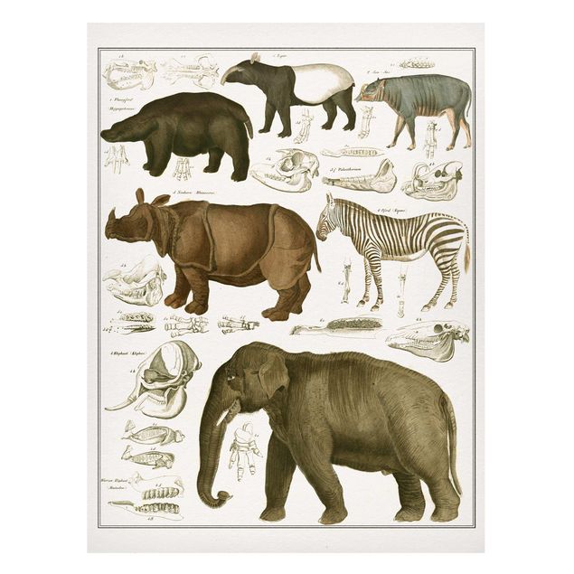 Magnettafel - Vintage Lehrtafel Elefant, Zebra und Nashorn - Memoboard Hochformat 4:3