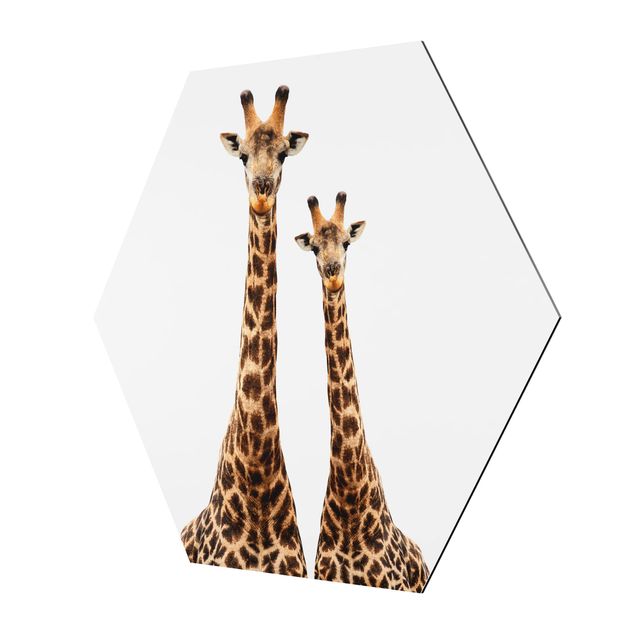 Hexagon Bild Alu-Dibond - Portait Zweier Giraffen