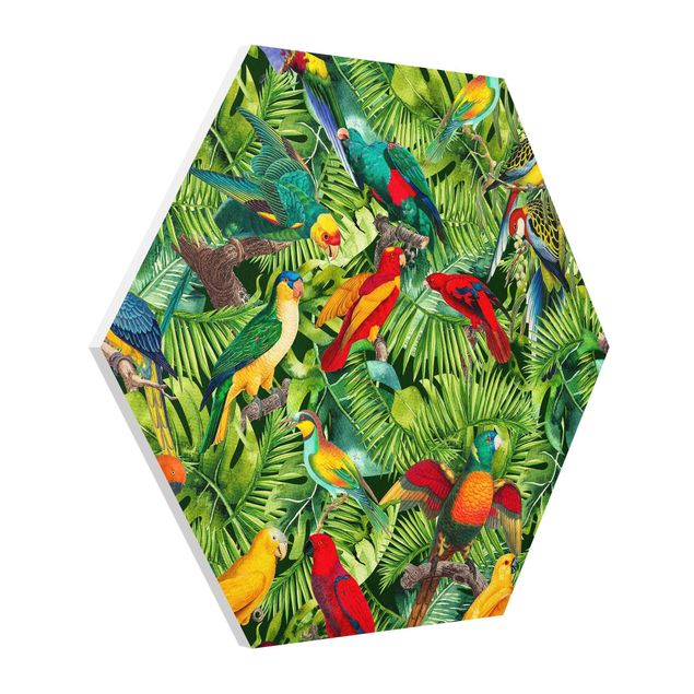 Hexagon Bild Forex - Bunte Collage - Papageien im Dschungel