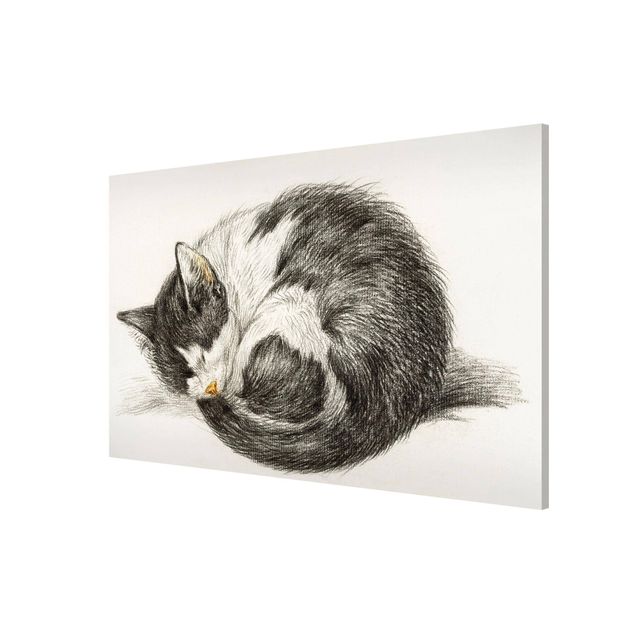 Magnettafel - Vintage Zeichnung Katze II - Memoboard Querformat 2:3