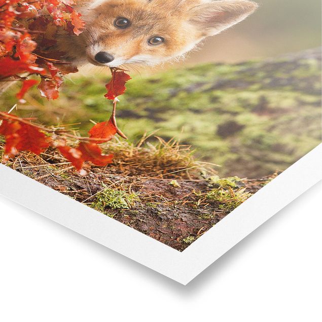 Poster - Fuchs im Herbst - Querformat 3:4