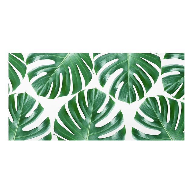 Spritzschutz Glas - Tropische grüne Blätter Monstera - Querformat - 2:1