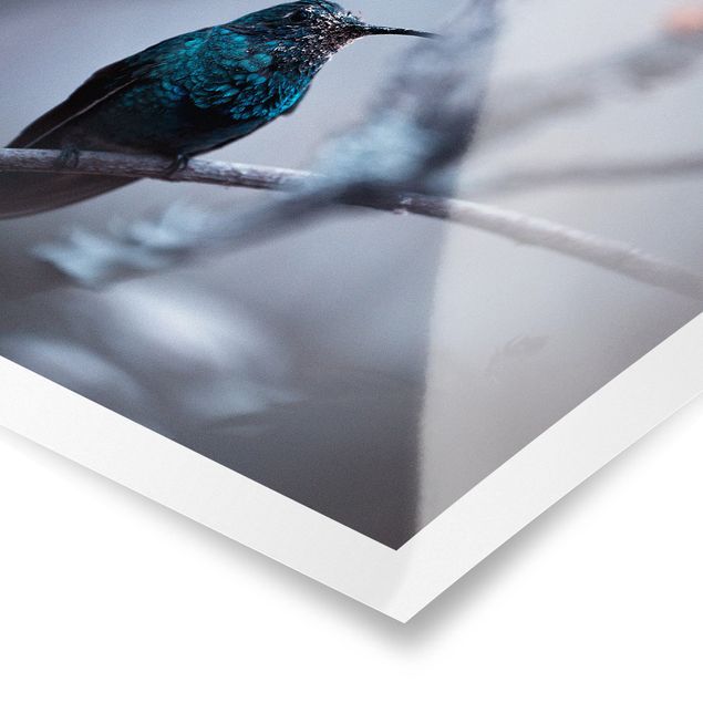 Poster - Kolibri im Winter - Quadrat 1:1