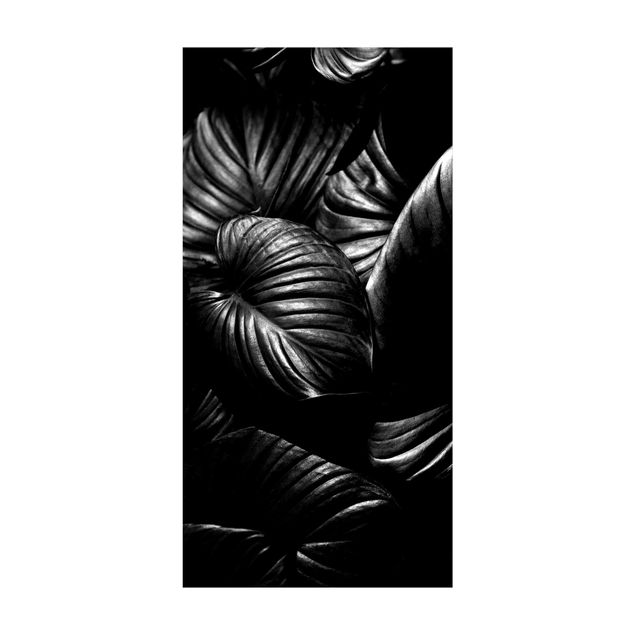 Teppich schwarz-weiß Schwarz Weiß Botanik Hosta