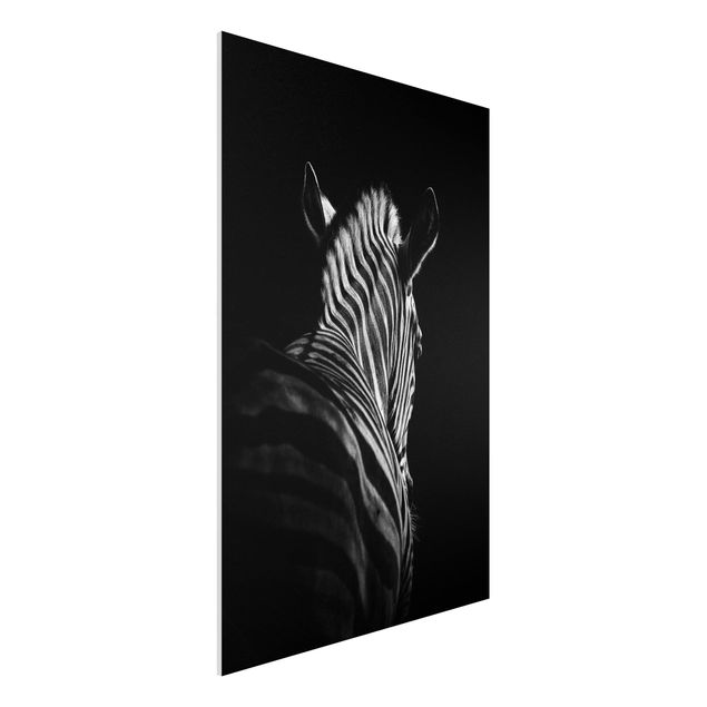 Forex Fine Art Print - Dunkle Zebra Silhouette - Hochformat 3:2