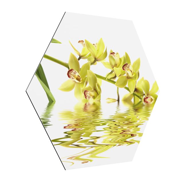 Hexagon Bild Alu-Dibond - Elegant Orchid Waters