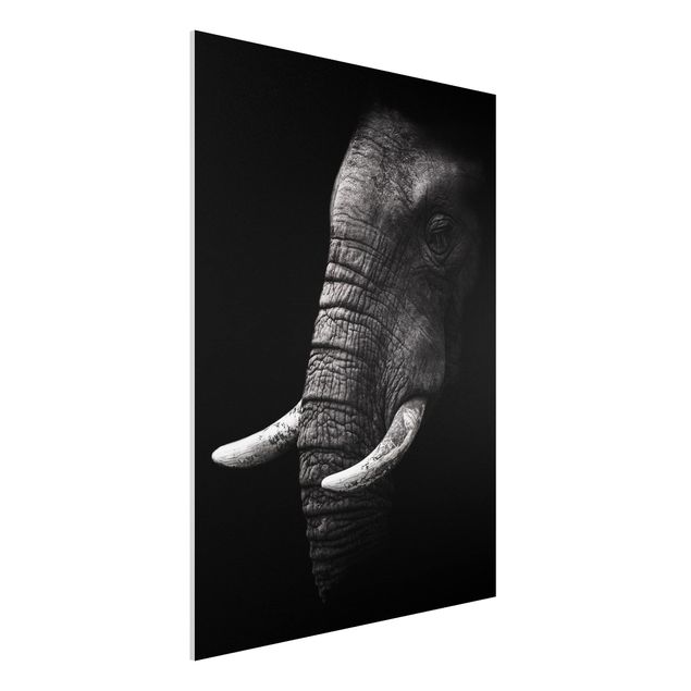 Forex Fine Art Print - Dunkles Elefanten Portrait - Hochformat 4:3