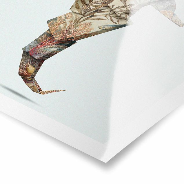Poster - Jonas Loose - Origami Seepferdchen - Quadrat 1:1