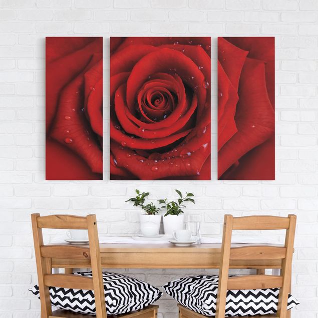 Leinwandbild 3-teilig - Rote Rose mit Wassertropfen - Triptychon