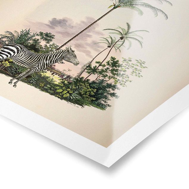 Poster - Zebra vor Palmen Illustration - Quadrat 1:1