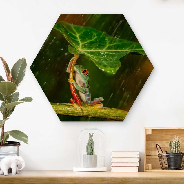 Hexagon Bild Holz - Ein Frosch im Regen