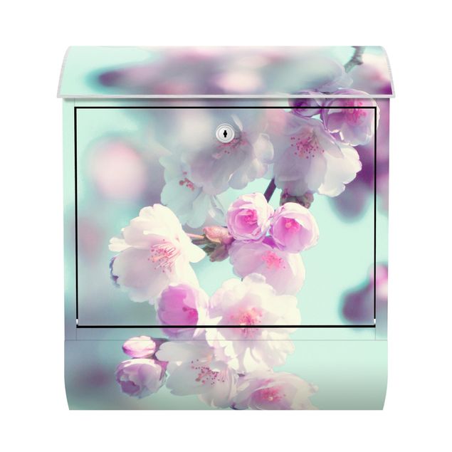 Briefkasten - Farbenfrohe Kirschblüten