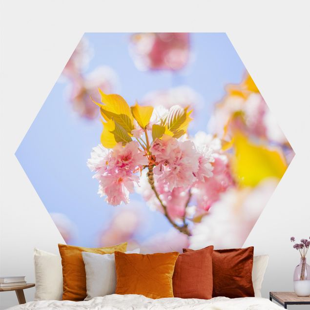 Hexagon Mustertapete selbstklebend - Farbenfrohe Kirschblüten
