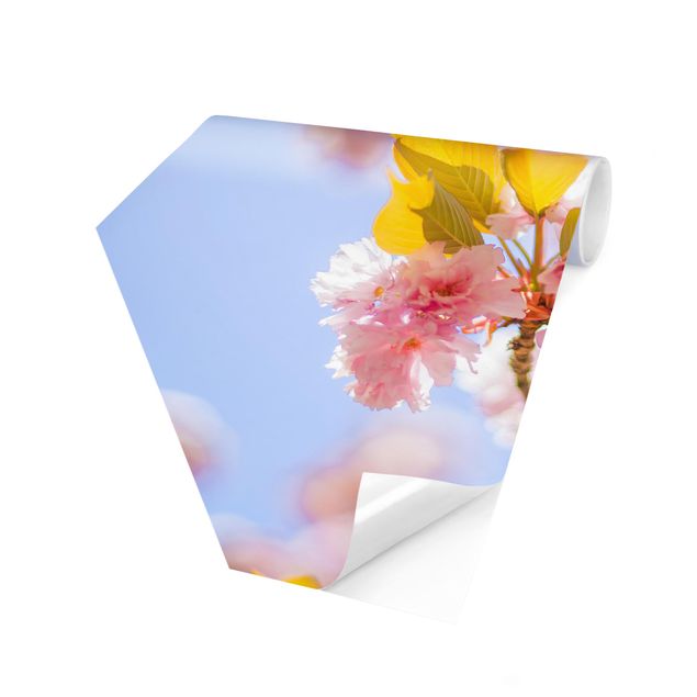 Hexagon Mustertapete selbstklebend - Farbenfrohe Kirschblüten