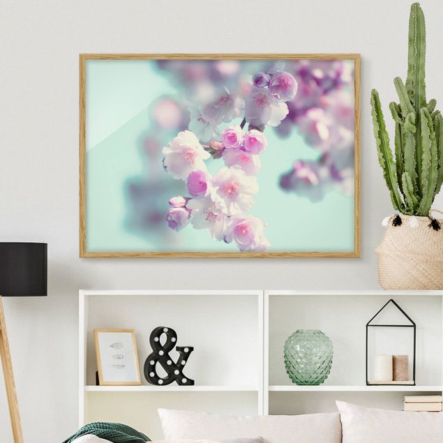 Bild mit Rahmen - Farbenfrohe Kirschblüten - Querformat