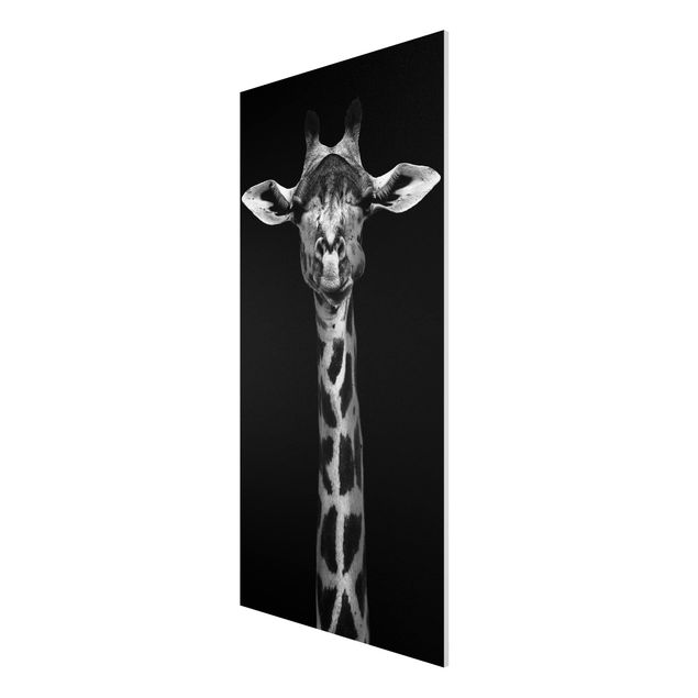 Forex Fine Art Print - Dunkles Giraffen Portrait - Hochformat 2:1