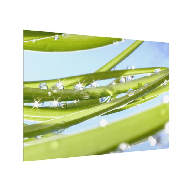 Glas Spritzschutz - Fresh Green - Querformat - 4:3