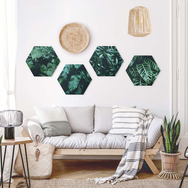 Hexagon Bild Forex 4-teilig - Tropische Pflanzen