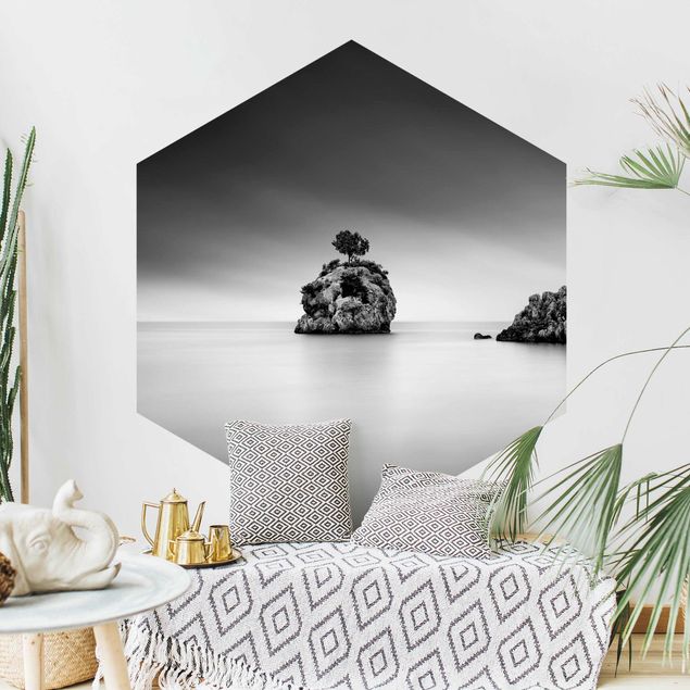 Hexagon Mustertapete selbstklebend - Felseninsel im Meer Schwarz-Weiß